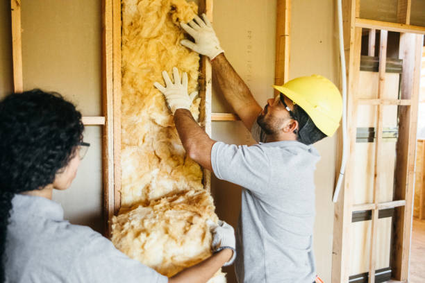 Best Insulation Removal  in Wadesboro, NC